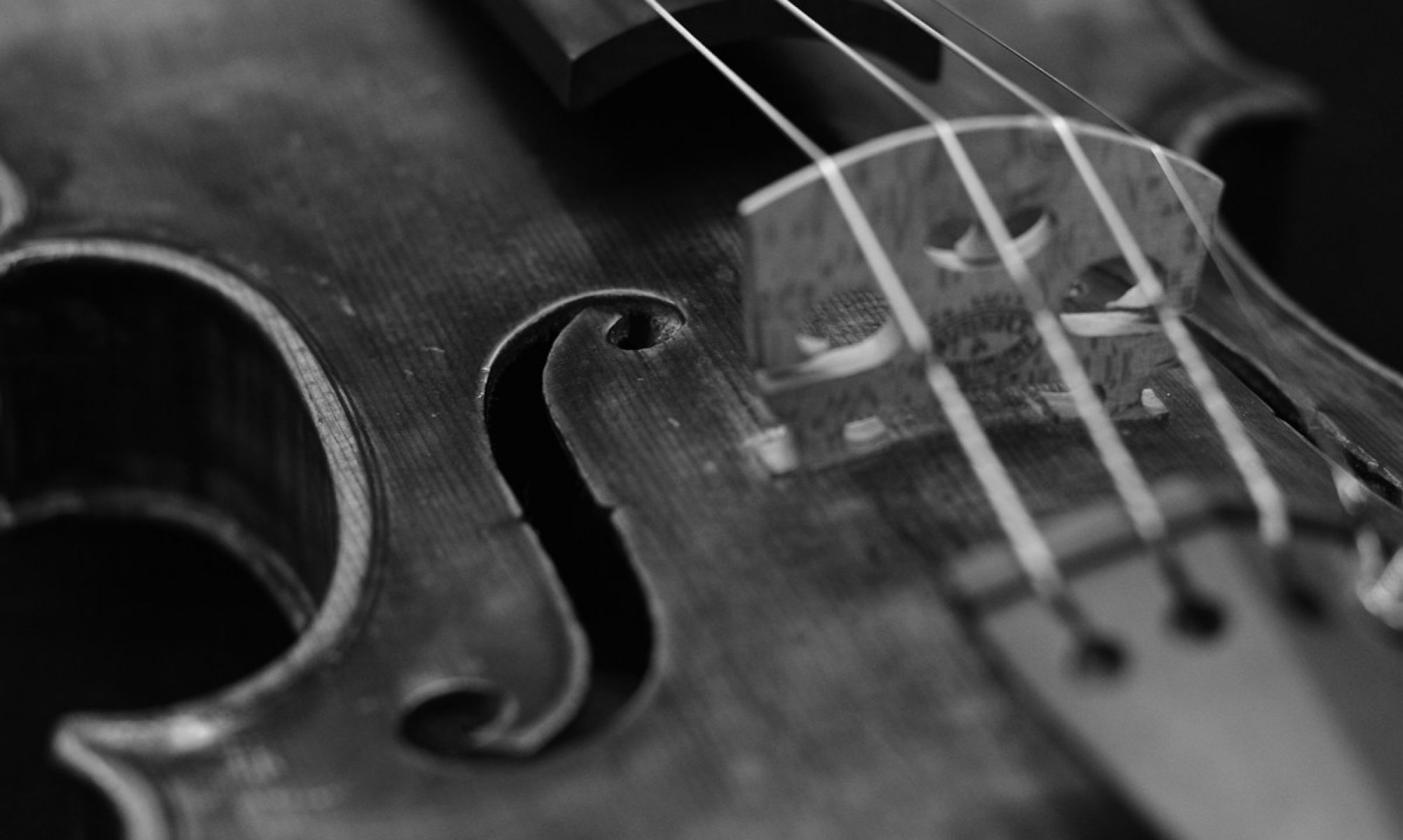 Izuta-Violin