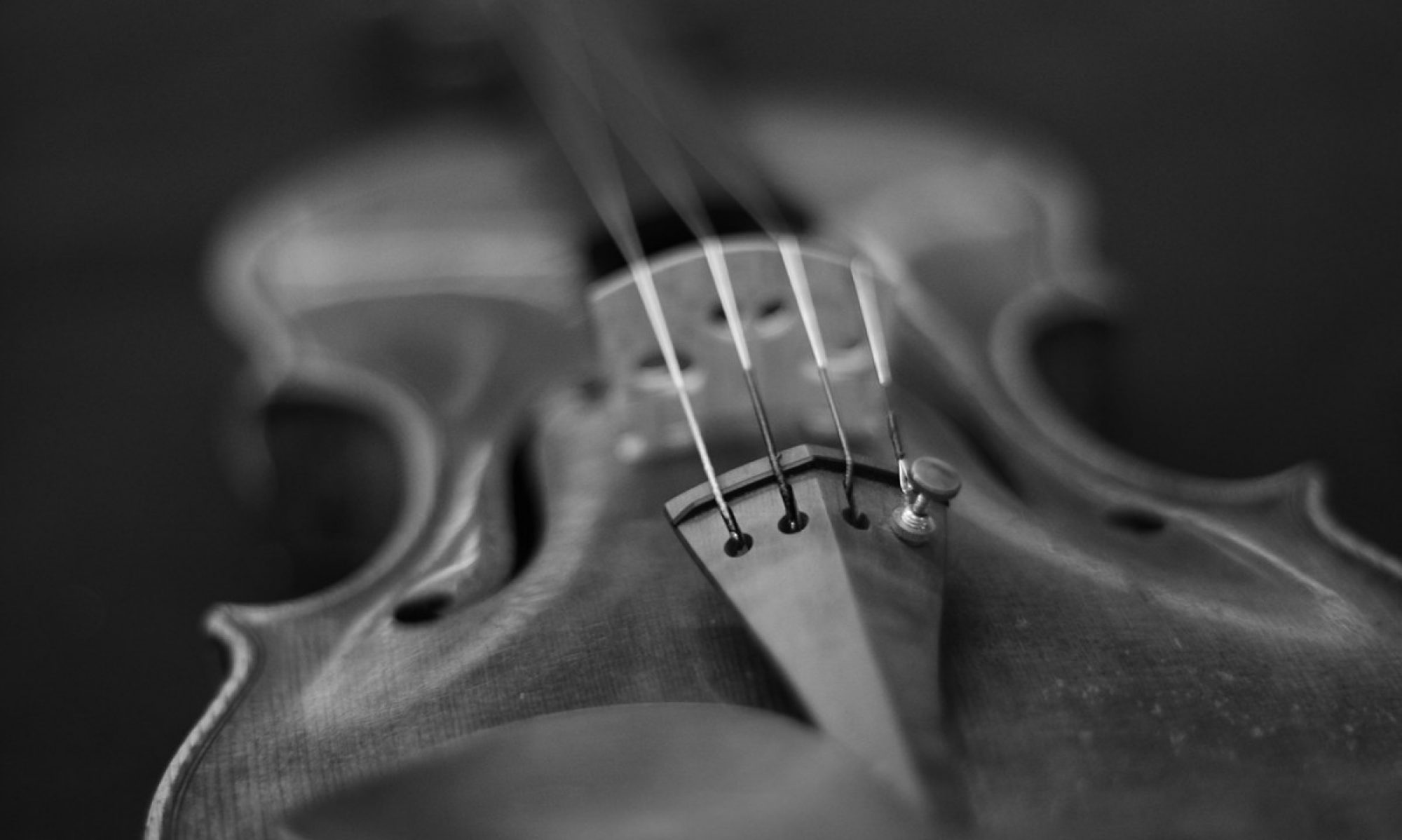 Izuta-Violin