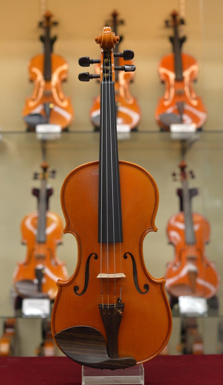 Johannes Instruments (Germany) IzutaViolin